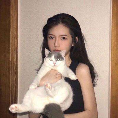 大话至尊宝手游下载